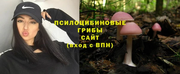 скорость Инта
