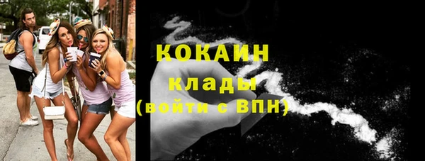 дживик Инсар