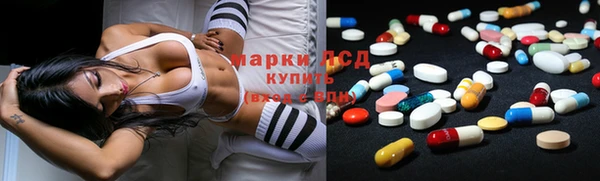 дживик Инсар