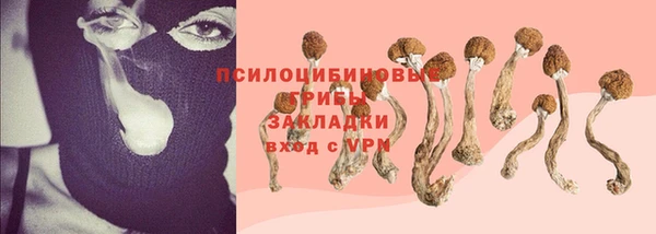 дживик Инсар