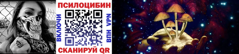 Купить где  Поворино  Галлюциногенные грибы GOLDEN TEACHER 